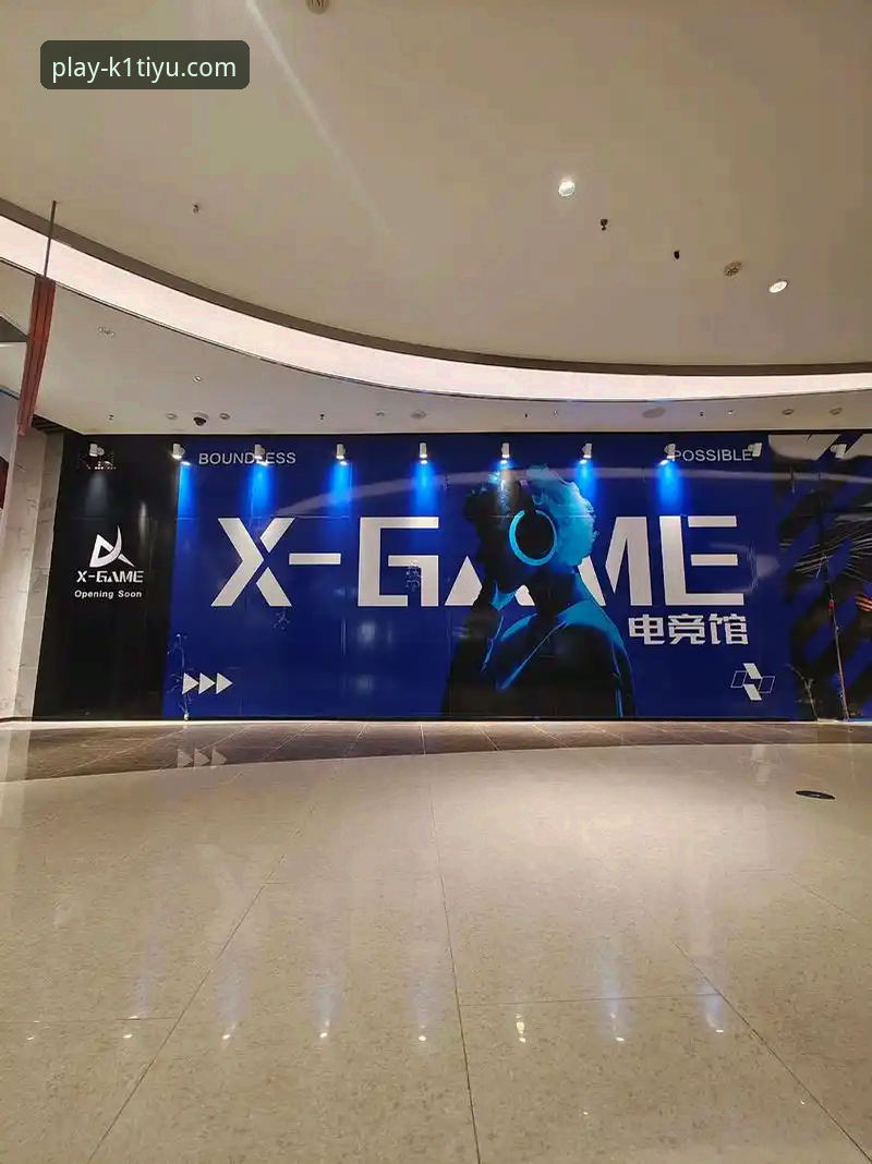 k1体育专业体育娱乐使用指南 揭秘k1体育官方平台:专业体育娱乐背后的使用真相